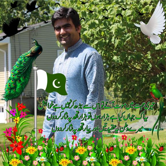 aliakbar799